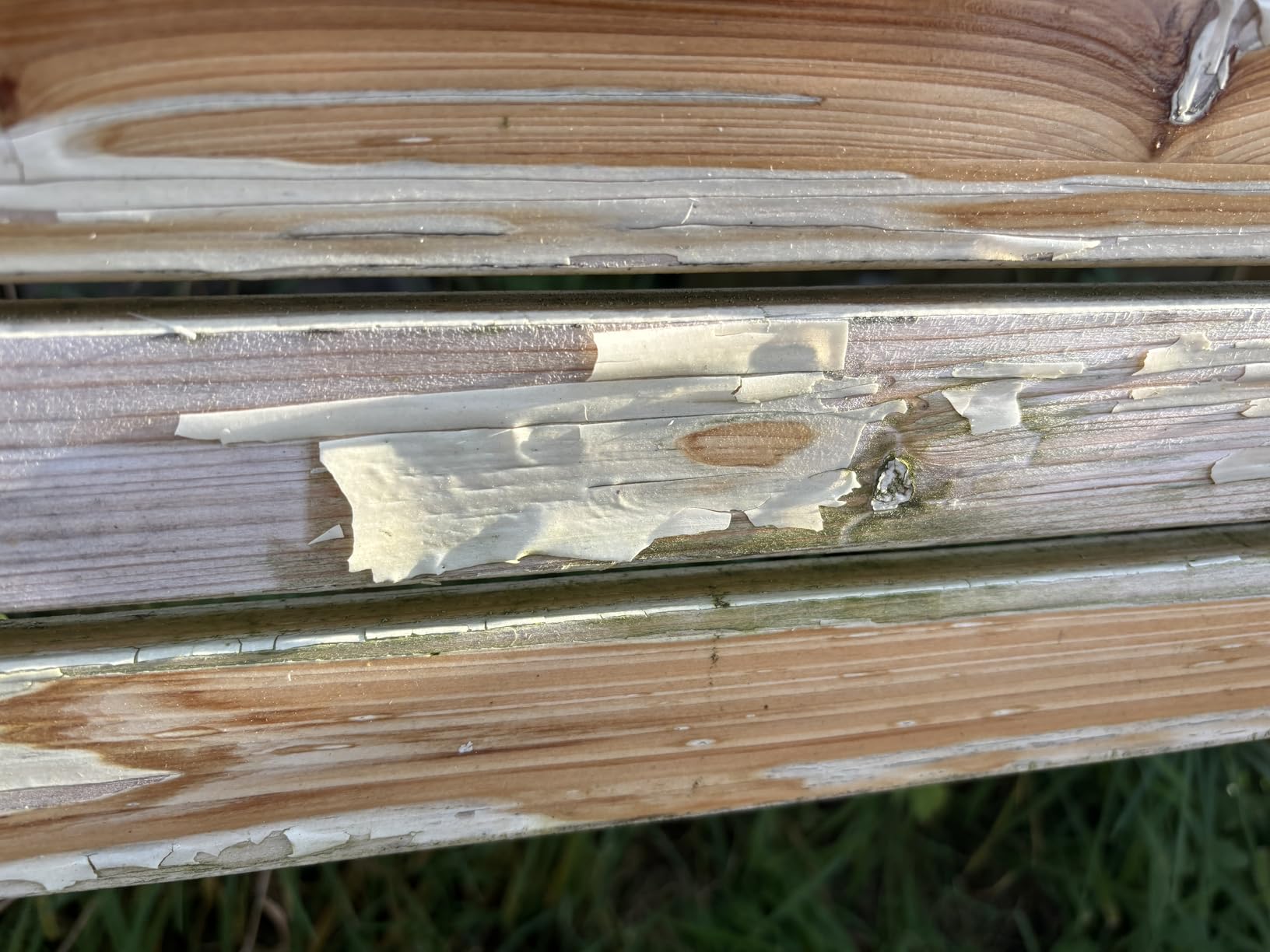 Unser Lieblingsplatz im Garten