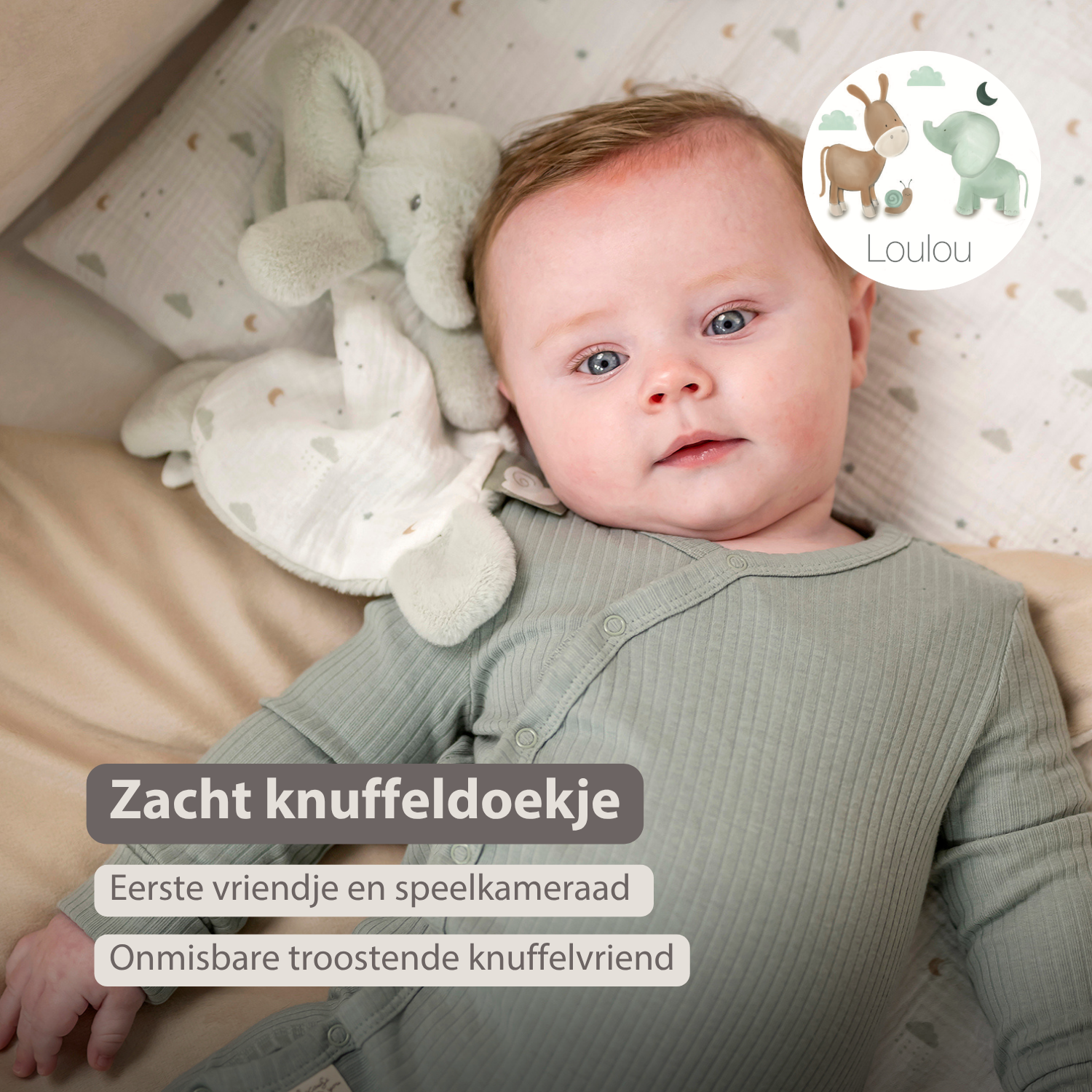 nattou-loulou-mini-kuscheltuch-elefant-25-cm-lindengr-n-ecru-aus-baumwolle image 5