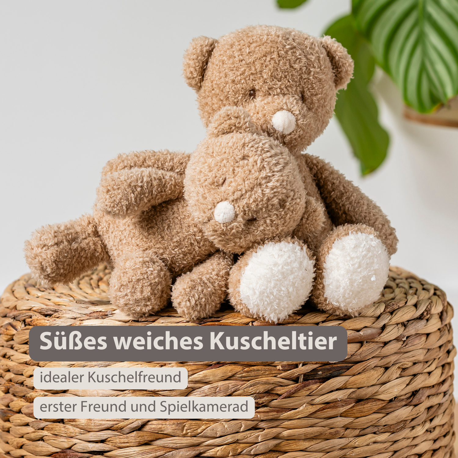 nattou-teddy-kuscheltier-baby-b-r-25-cm-beige image 2