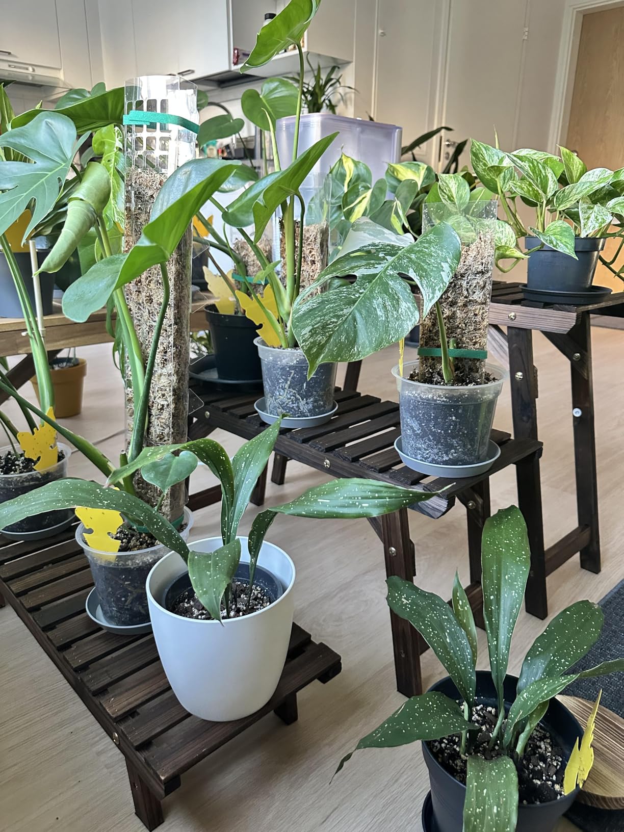 Perfekt für den Balkon