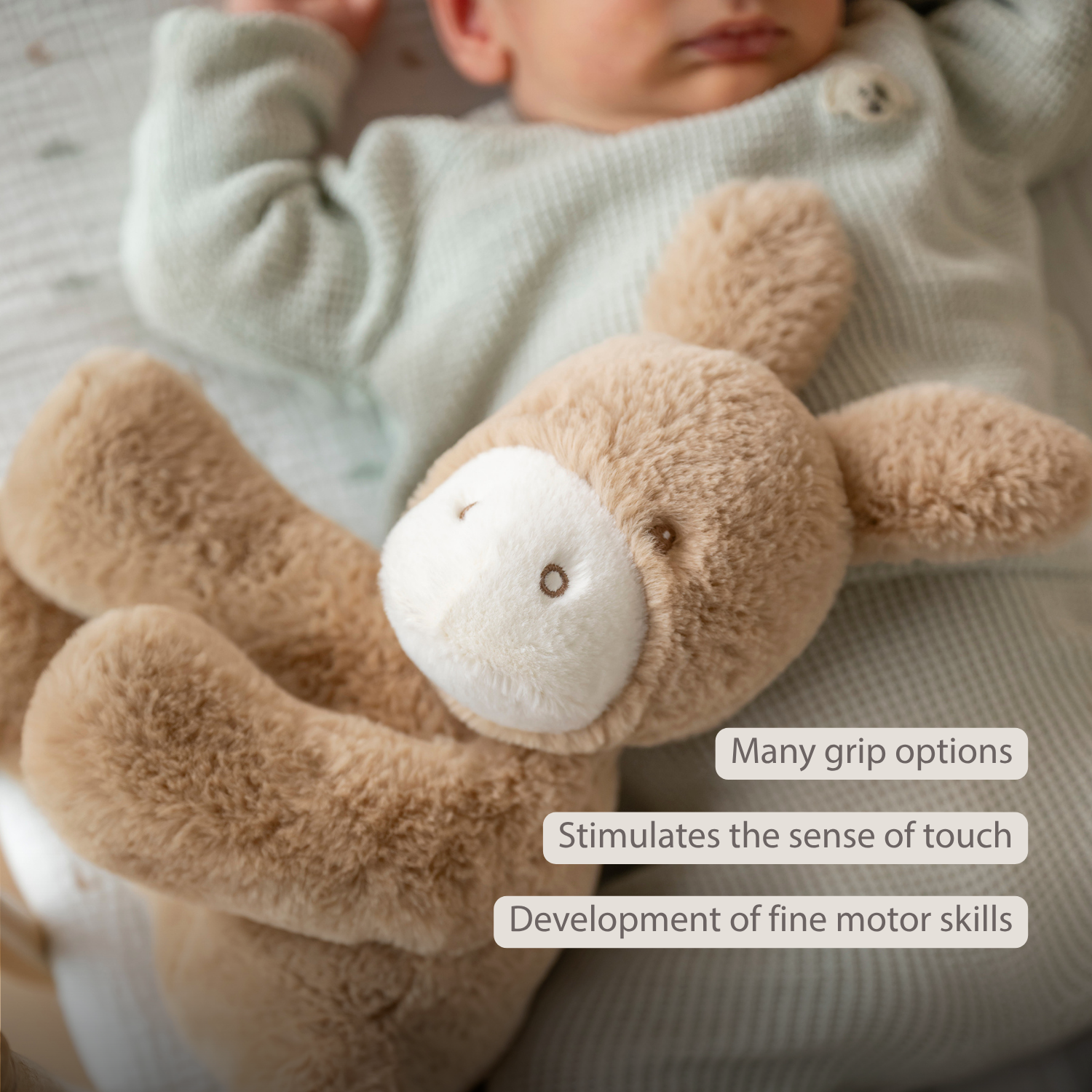 nattou-loulou-kuscheltier-esel-30-cm-karamell image 3