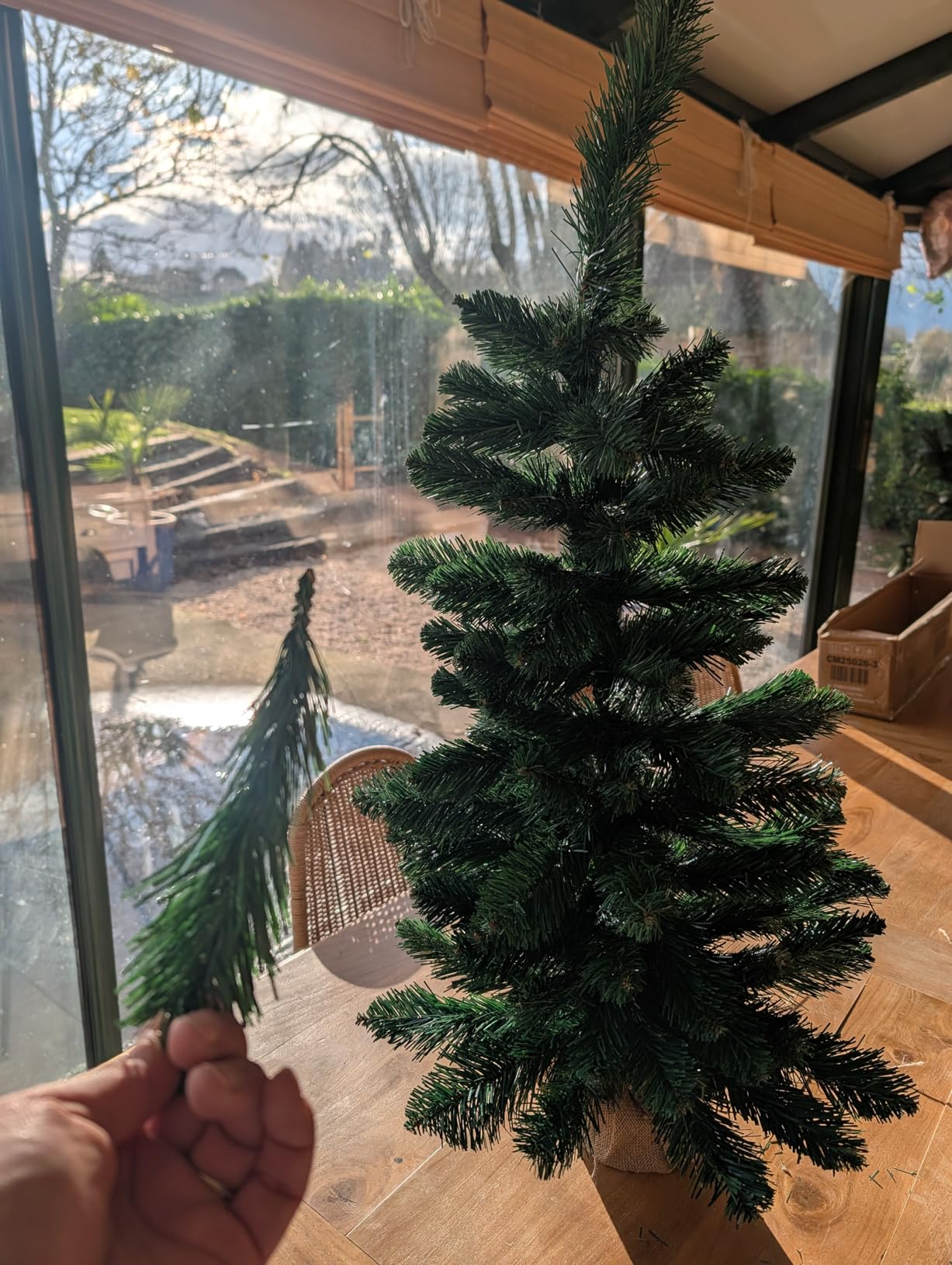 Süßer kleiner Baum