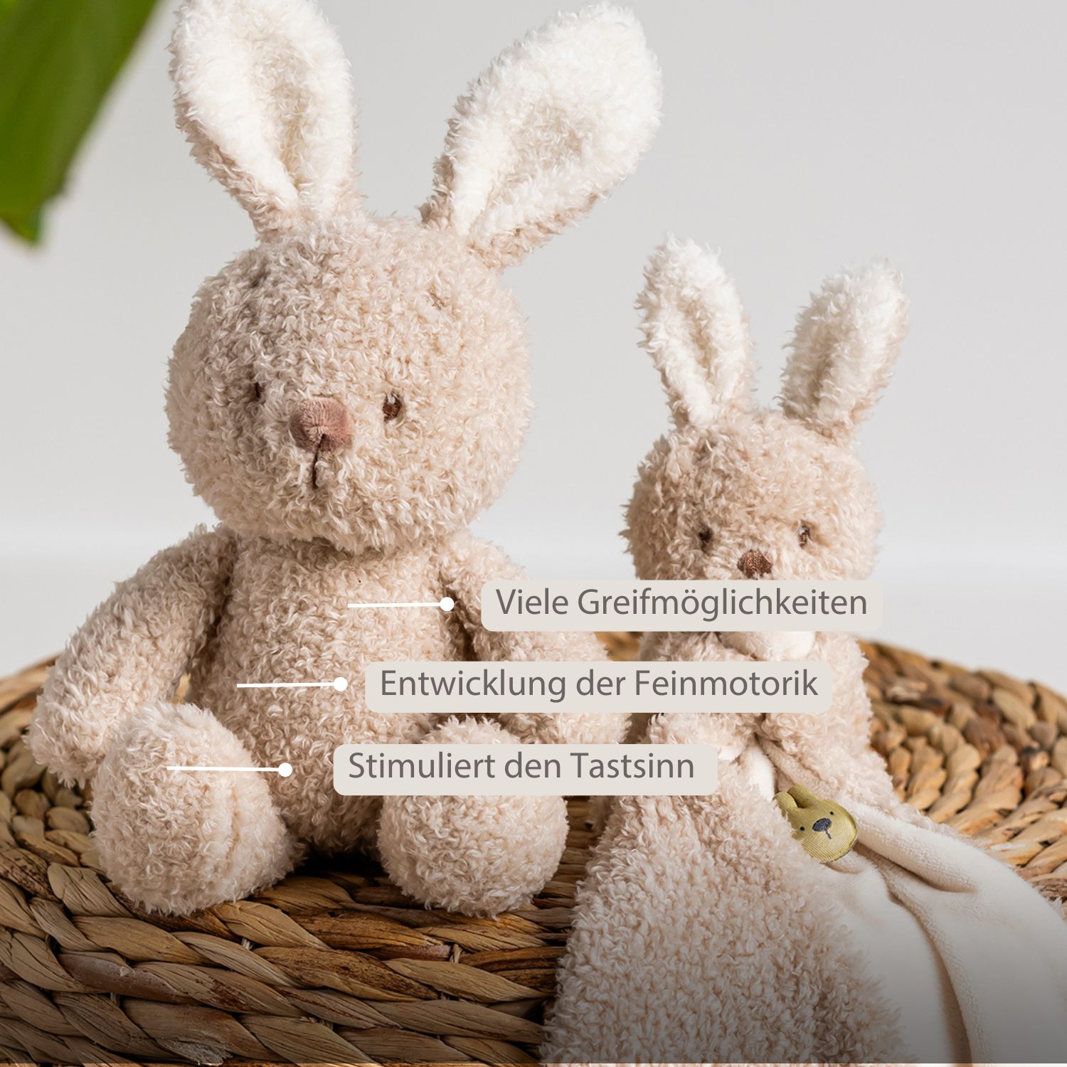nattou-teddy-kuscheltier-baby-kaninchen-25-cm-beige image 3