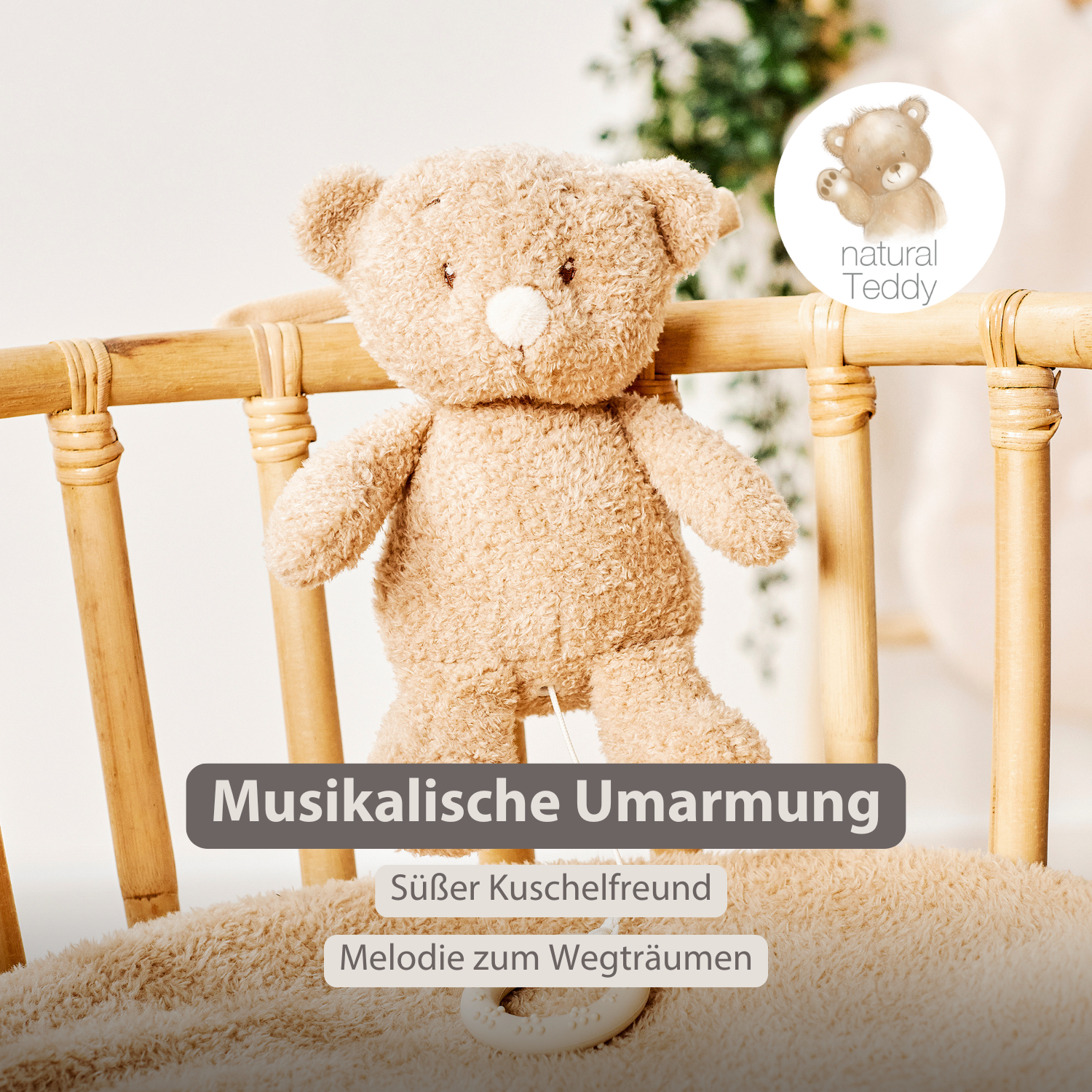 nattou-teddy-musik-kuscheltier-baby-b-r-25-cm-beige image 2
