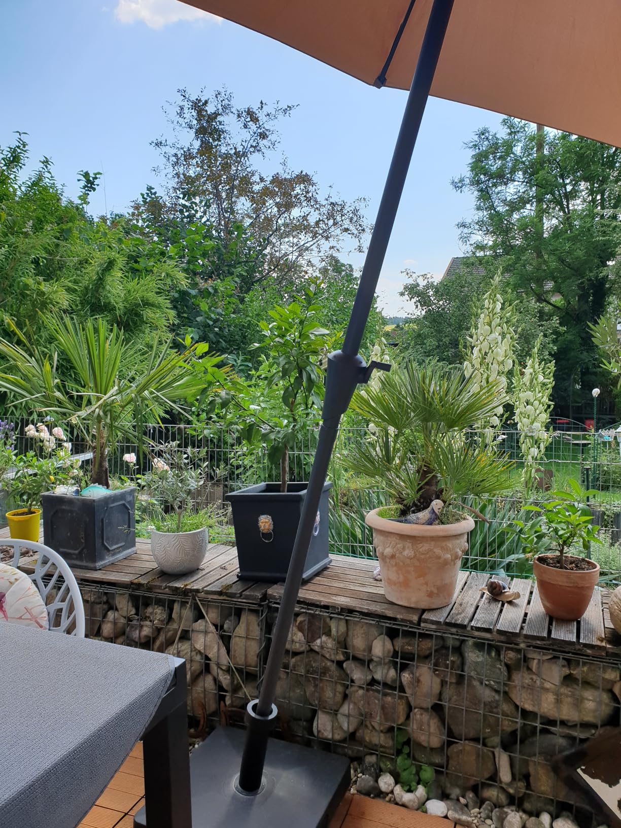 Endlich mobil auf der Terrasse
