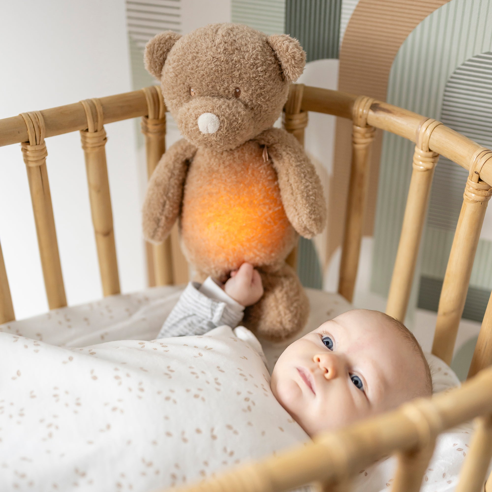 nattou-teddy-nachtlicht-b-r-veilleuses-sleepy image 2