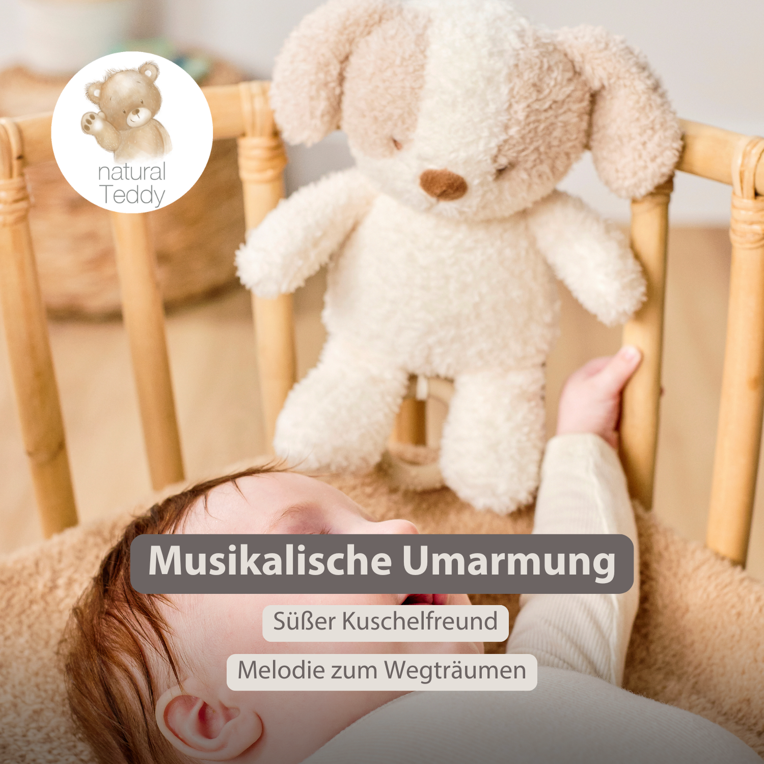 nattou-teddy-musik-kuscheltier-baby-hund-25-cm-mit-spieluhr-la-le-lu-wei-beige image 2