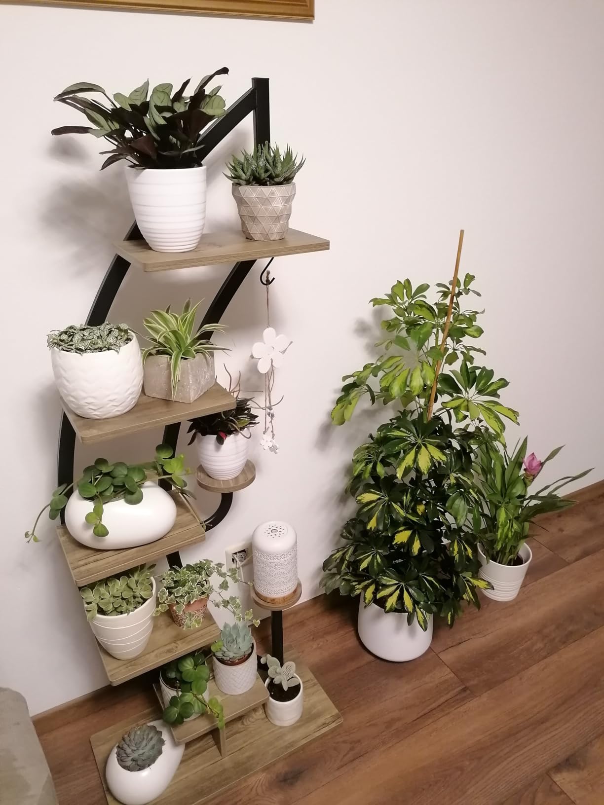 Schön für drinnen und draußen