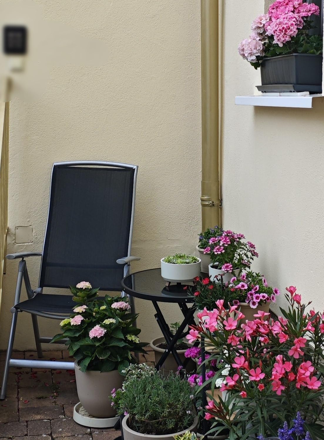 Perfekt für den Balkon